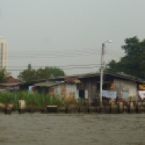 cultivation by the water - Khlong Bangkok Noi canal